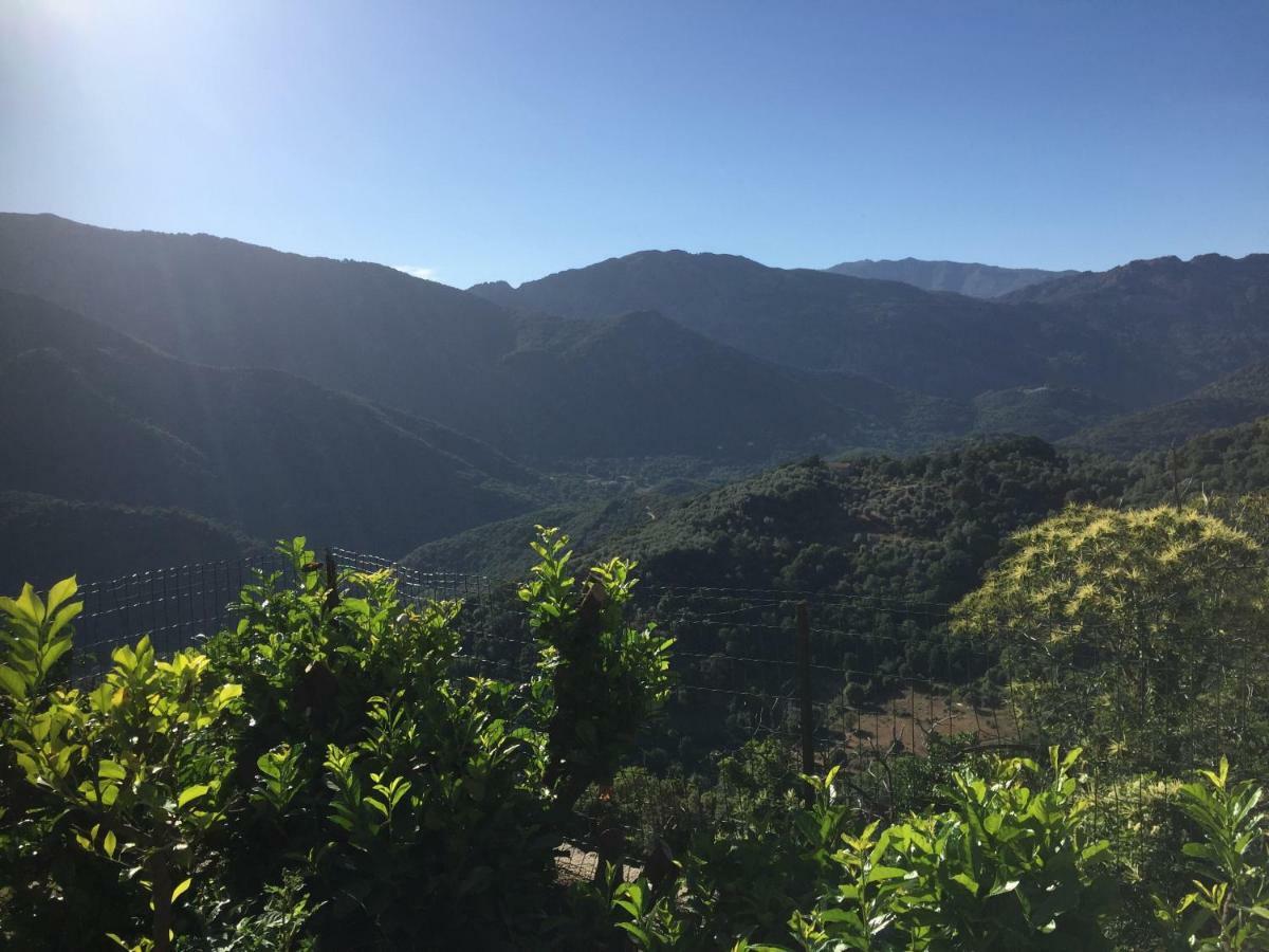 فيلا Gite , Maison De Vacances Avec Exterieur Et Terrasse Fleurie Meuble Tourisme 3 Etoiles Santa-Lucia-di-Tallano المظهر الخارجي الصورة